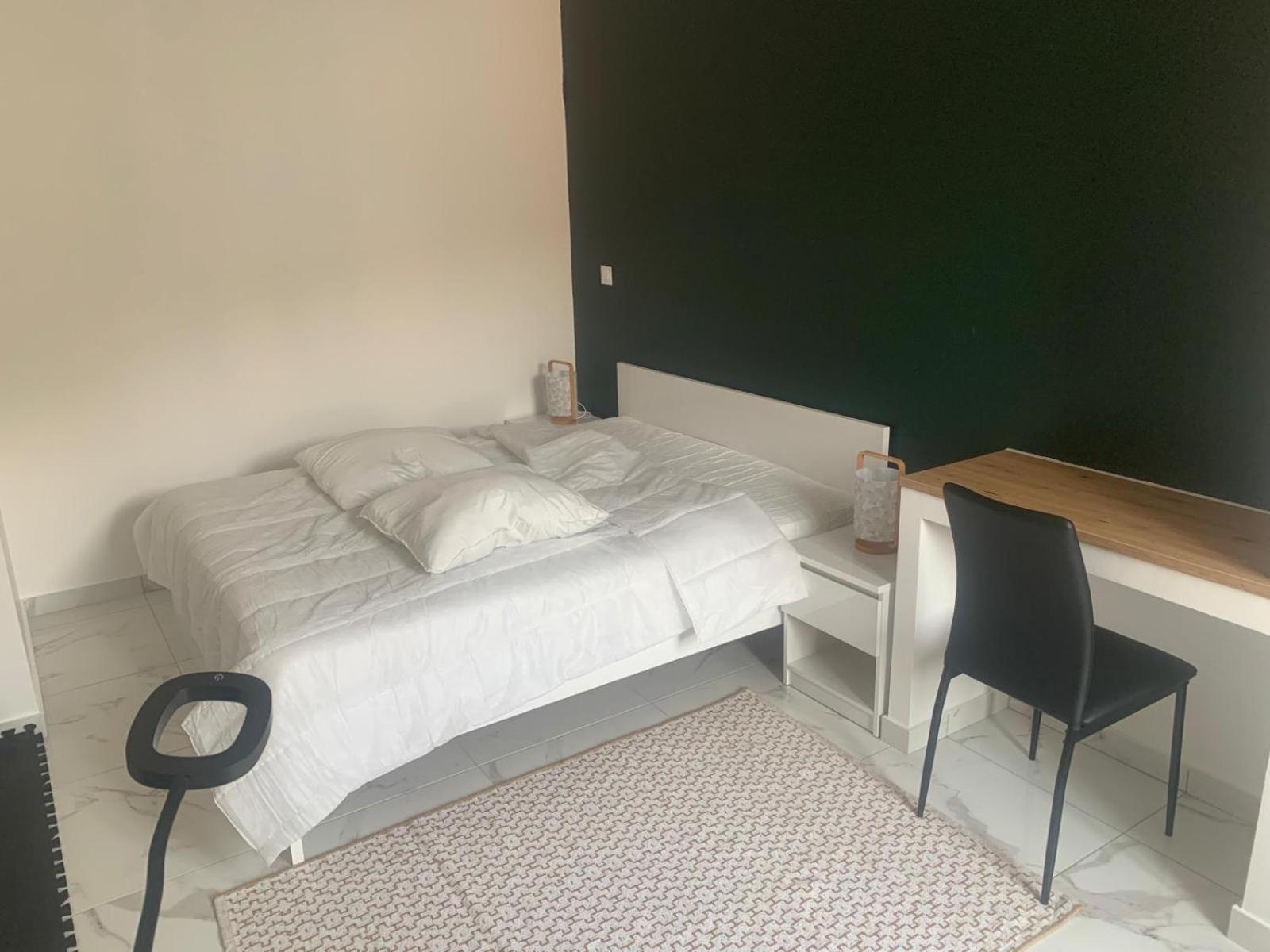Chez Emilie Et John Apartment Сент Етиен Екстериор снимка